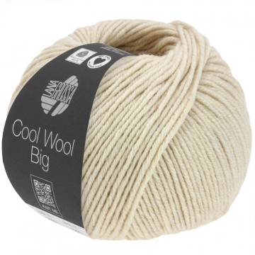 Cool wool big melange 1624
