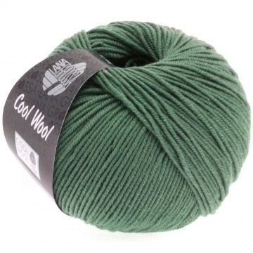 Cool wool lana grossa 2021