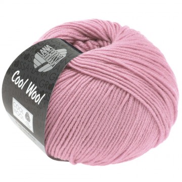 Cool wool lana grossa 2045