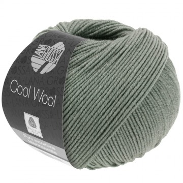 Cool wool lana grossa 2079
