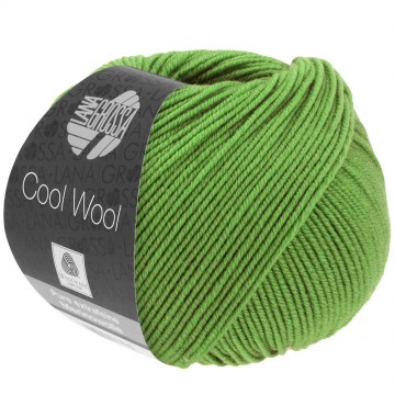 Cool wool lana grossa 2088
