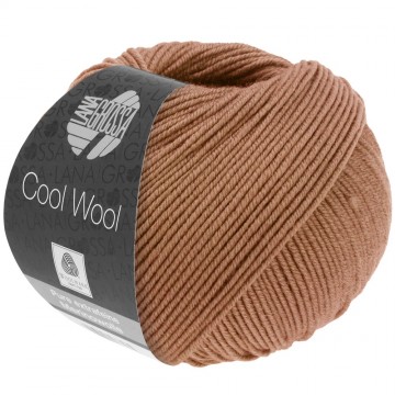 Cool wool lana grossa 2094