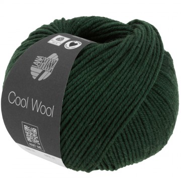 Cool wool melange lana grossa 1413