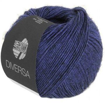 Diversa kleur 17