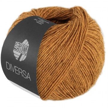 Diversa kleur 23