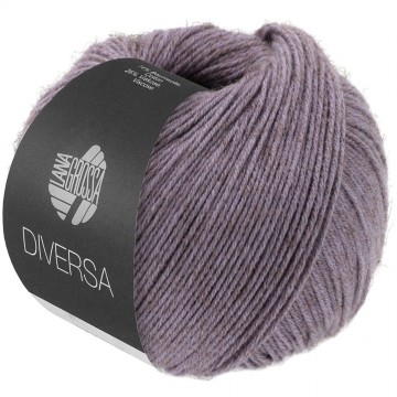 Diversa kleur 24