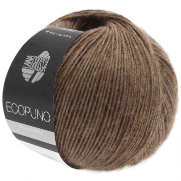 Ecopuno 17 5