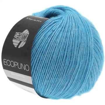 Ecopuno 29 4