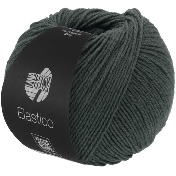 Elastico kleur 194
