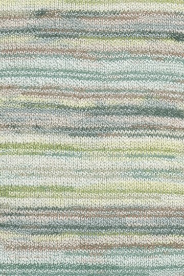 Fiesta kleur 6 print