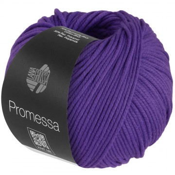 Promessa kleur 34